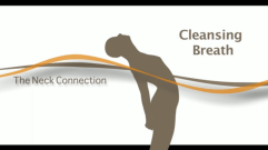 Neck Connection 16x9